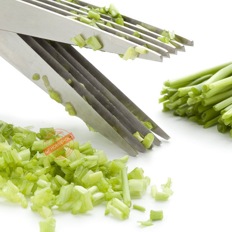 Amazon stainless steel multi-layer chopped green onion cut parsley cut vegetables in the kitchen baby see cut across borders